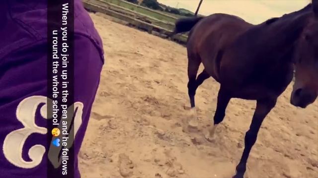 Haagen 2years Braver than you believe смотреть онлайн