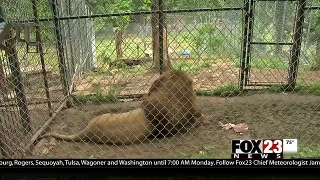 Broken Arrow Safari Sanctuary has severe weather plans смотреть онлайн