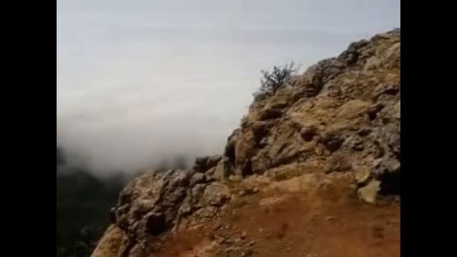 По волнам моей памяти смотреть онлайн