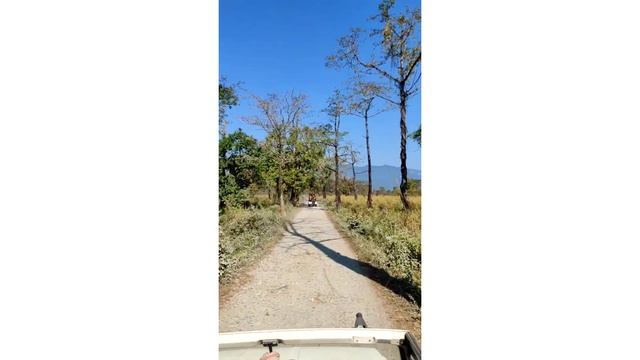 Jungle Safari in Manas National Park (Bansbari Range) | Explore Bodoland смотреть онлайн