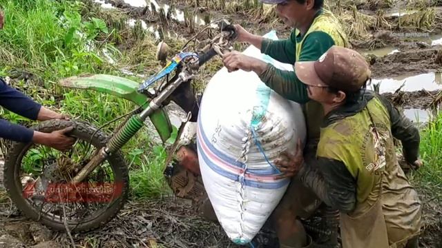motor ojek sawah trabas lumpur dalam смотреть онлайн