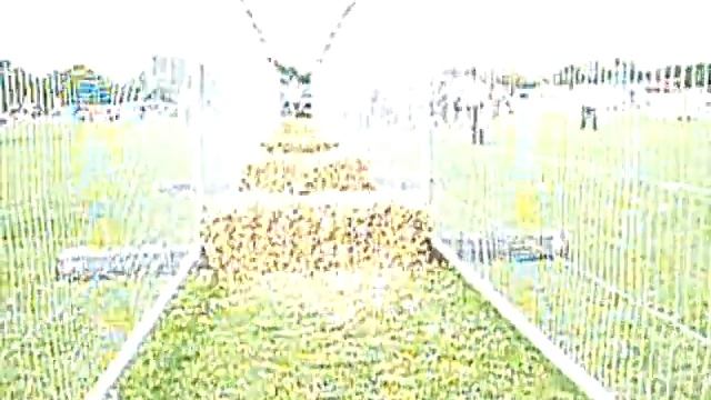 Pepsi's brave run смотреть онлайн