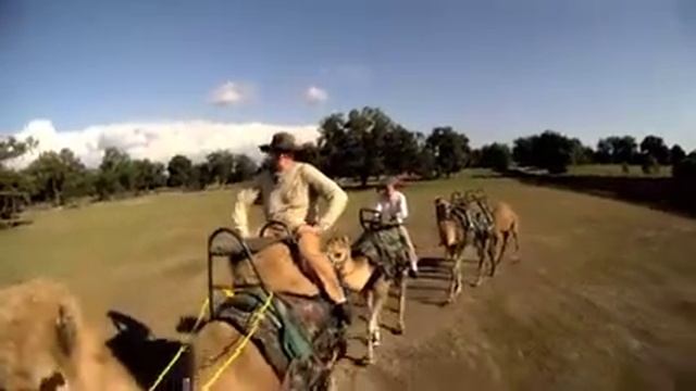 Safari Wilderness Ranch Camel Safari смотреть онлайн