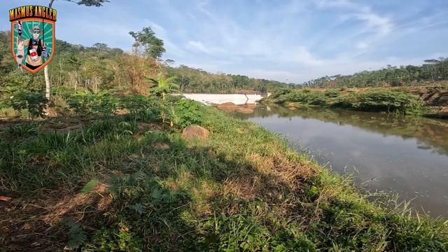 SPOT HAMPALA TERINDAH DI ALAS ROBAN BATANG #hampala #castinghampala #mancinghampala #palung #viral смотреть онлайн