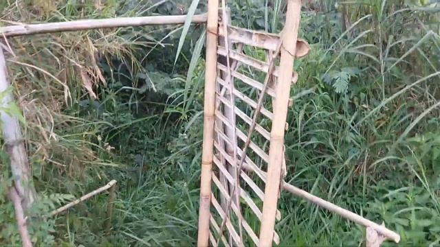 BUKIT SAUNG GEULIS ❗️ CAMPING GROUND DEKAT DENGAN TAMAN SAFARI ❗️🥶 🏕 смотреть онлайн