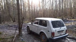 Нива 21213 на ВлИ-10 и Нива 2131 ВлИ-5