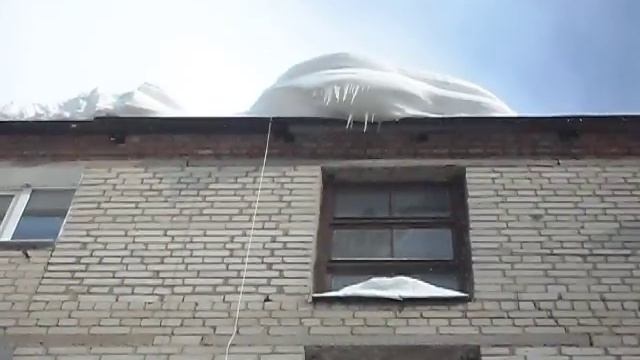 SDC15462 смотреть онлайн