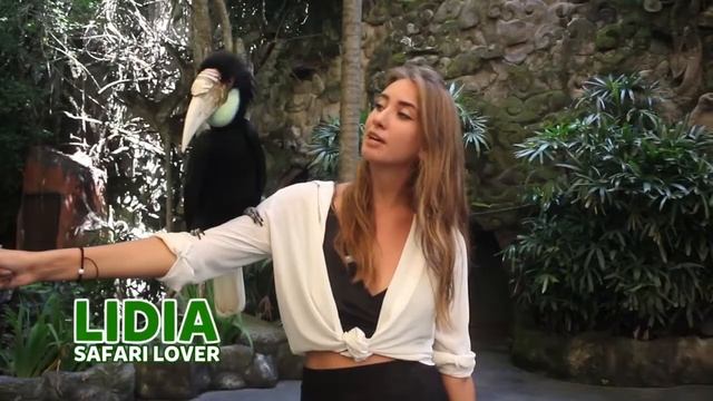 Jungle Hopper Bali Safari Marine Park - Best Program for Family in Bali смотреть онлайн