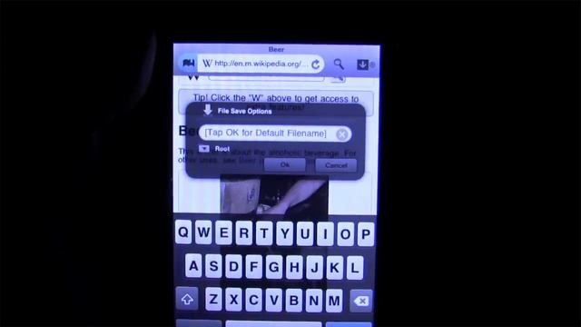 Meteoric Download Manager iPhone App Review смотреть онлайн