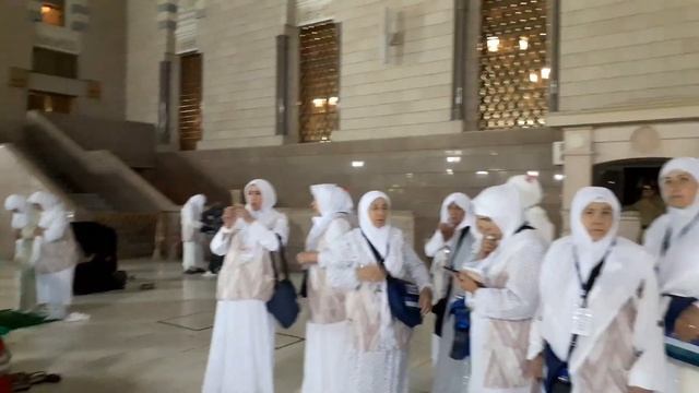 Haj safari смотреть онлайн