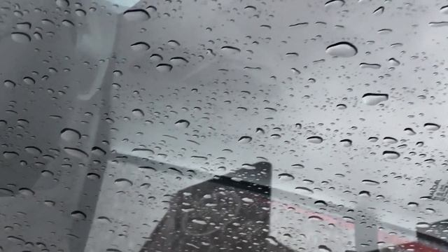 Brave the Elements смотреть онлайн