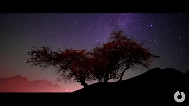 Serena - Safari (Official Video)