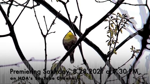 HOA's Opera in the Park - Birding for a Better World Premieres Saturday, 8/28/2021 at 7:30 PM смотреть онлайн