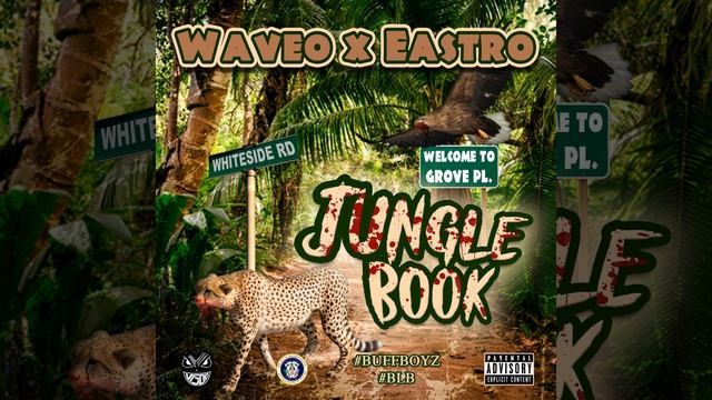 Waveo x Eastro Safari (feat. Stunna2fly) смотреть онлайн