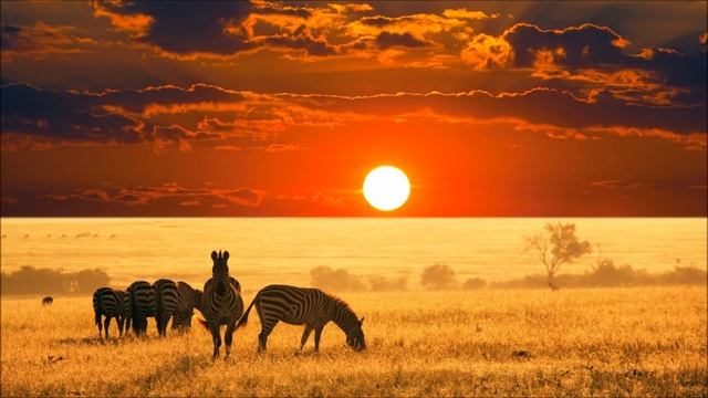 Bro Safari The Drop Ear Rape смотреть онлайн