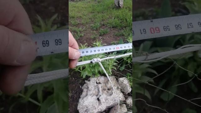 ВЕНТЕР 2 КРЫЛЫЙ ДИАМЕТЕР 1 метер смотреть онлайн