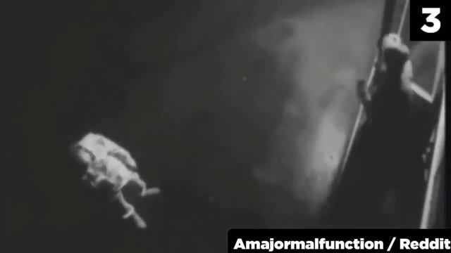 TOP 5 VIDEOS ONLY BRAVE PEOPLE CAN WATCH смотреть онлайн