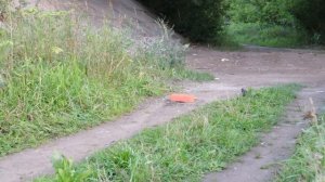 ПОПАЛ ПУШЕЧНЫМ ЯДРОМ В УТЮГ! ЧТО БУДЕТ ЕСЛИ НУБ ИЗ МАЙНКРАФТ СКИНЕТ МЕТАЛЛИЧЕСКИЙ ШАР С МОСТА!