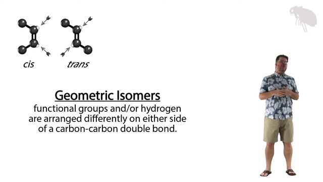Types of Isomers смотреть онлайн