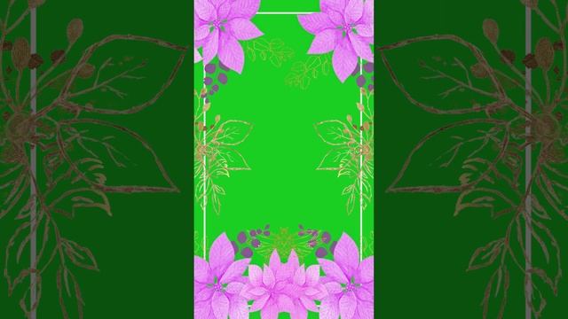 Maco De Foto Con Chroma Key смотреть онлайн