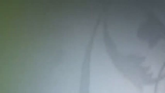 Стеклянная бронзовая матовая дверь смотреть онлайн
