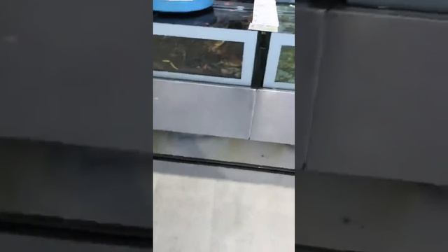 крутой выбор средиземноморских морепродуктов в Италии смотреть онлайн