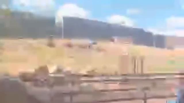Phx Zoo Safari Cruiser смотреть онлайн