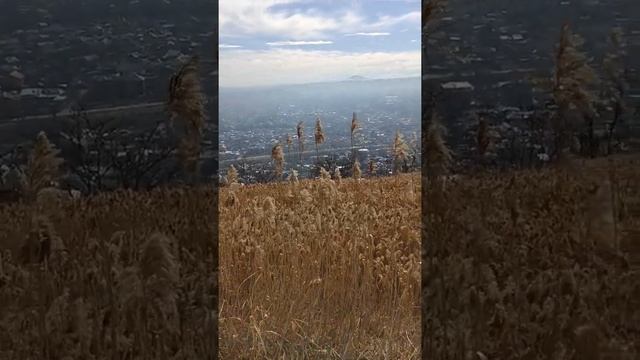 Пятигорск смотреть онлайн