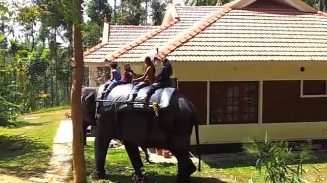 Wayanad Elephant Safari at Blooms Green Farm смотреть онлайн