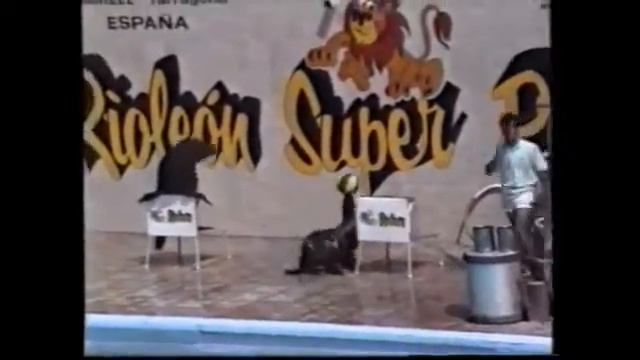 Rioleon Safari Park Seal & Dolphin Show 1992 смотреть онлайн