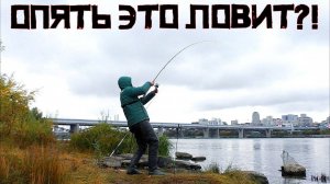 ДА ЧТО ТУТ СЛУЧИЛОСЬ!? Вода пришла и НАЧАЛОСЬ! Не думал, что рыбалка будет ТАКОЙ ТРУДОВОЙ!