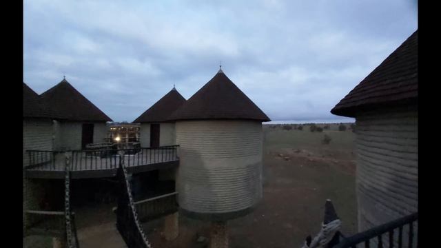 ADRC: KENYA 2022 - SAFARI SALT LICK LODGE смотреть онлайн