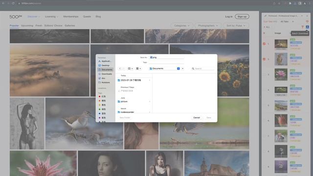 Pichound chrome extension Introduction and Tutorials смотреть онлайн