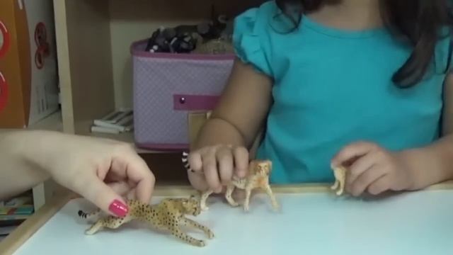 Schleich Safari Learn About Animals Cheetah with 4 Year Old Educational for Children смотреть онлайн