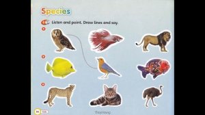 Super Safari 1 PB Unit 6 My pet p 54 CD2 track 26