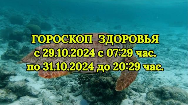 "ГОРОСКОП ЗДОРОВЬЯ с 29 по 31 ОКТЯБРЯ 2024 года!!!" смотреть онлайн