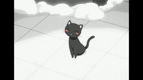 Песня Betsy "Маленькие котики"