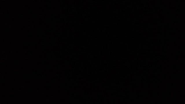 Донецк.28.05.2016 тишина и птичка смотреть онлайн