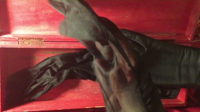 GLOVES ✋🤚   LEATHER  & LACE 🤍 OPERA GLOVES 🖤 [[ASMR]]
