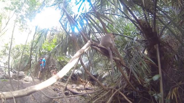 GOA - 2014 смотреть онлайн