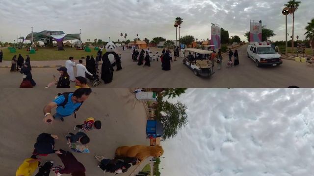 Riyadh Season-Magic Safari - Video-1 موسم الرياض - سفاري الرياض смотреть онлайн