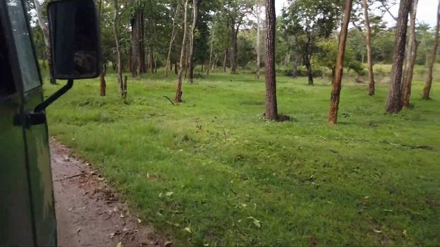 Nagarhole national park safari booking & Fulll details #Tiger #dji смотреть онлайн