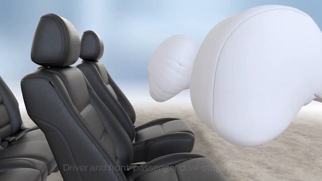 Personal Saftey System Canopy Seat Knee Rear