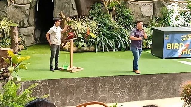 My Post Birthday Celebration @CEBU SAFARI ADVENTURE PARK (Toril Corte, Carmen, Cebu) смотреть онлайн