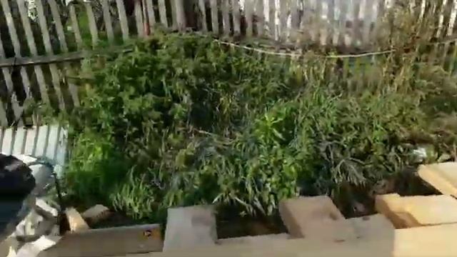 Строительство каркасных домов смотреть онлайн