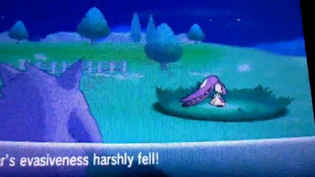 Random Shiny Mawile on Friend safari Pokemon Y смотреть онлайн