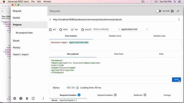 REST Web Service Project Part 14 - Test Update and Delete Using the Chrome Rest Plugin смотреть онлайн