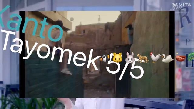 Music - Google Chrome ft Firefox (lay the bone down) смотреть онлайн