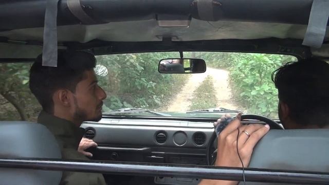 JIM CORBETT safari VLOG 48 смотреть онлайн