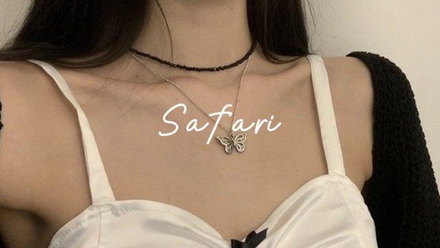 Safari (slowed & Reverb)